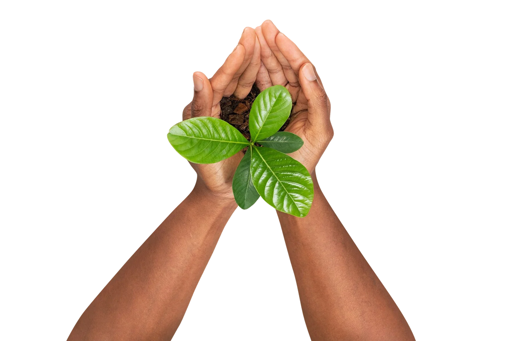 Gersan | Sustainability